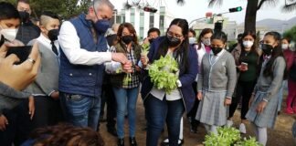 En Pachuca, primer huerto urbano