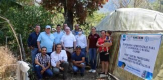 FAO México Guatemala