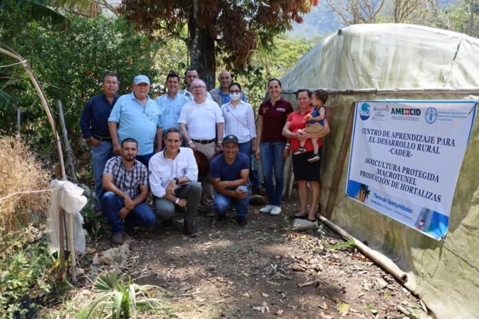FAO México Guatemala FAO México Guatemala