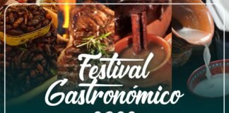 Organizan en Tula Festival Gastronómico «Insectos, carne, cerveza artesanal y pulque”