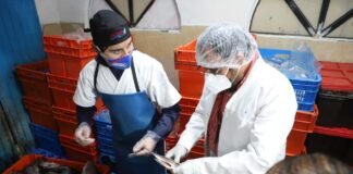 Evite enfermedades gastrointestinales en esta cuaresma