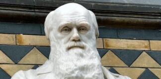 Incredulidad en la teoría de la evolución genera mayores prejuicios, afirma estudio