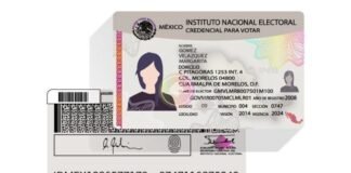 Ofrece Junta local INE reimpresión de Credencial para votar
