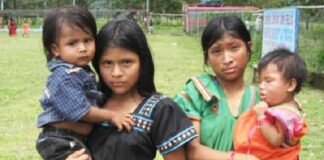 Respeto a usos y costumbres promueven la violencia sexual contra menores de edad