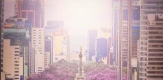 Jardinero japonés se encargó de llenar de color la CDMX