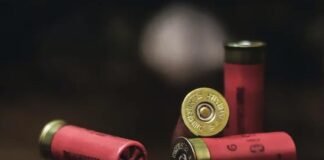 Armas de fuego matan más jóvenes que accidentes automovilísticos, afirma estudio