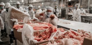 Incrementa México exportación de cárnicos de porcino a Estados Unidos