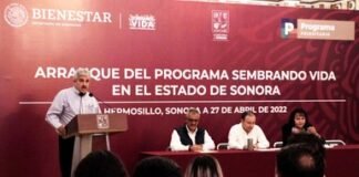 Inicia programa Sembrando Vida en Sonora; se cultivarán 2.6 millones de árboles