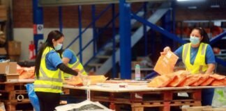 Incrementa ocupación y empleo en febrero de 2022