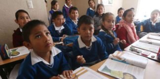 Transformación curricular desaparecerá grados escolares en el país
