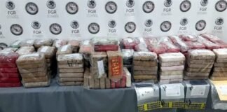 Aseguran 270 kilos de cocaína, tras cateo a línea de Trailers