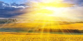 Prevalece ambiente muy caluroso en la mayor parte de la República Mexicana