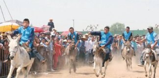 Celebran hoy en Otumba el Día del Burro