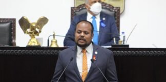 Propone diputado gay lenguaje claro, preciso e incluyente en iniciativas