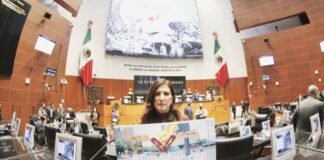 Califican como mezquino rescindir contrato de la empresa DNV