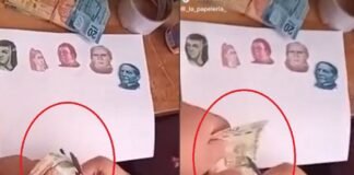 Recorta billetes para ilustrar tarea escolar