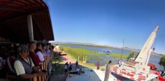 Apoya Poder Legislativo en labores de limpieza de lirio en Laguna de Tecocomulco