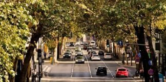 Movilidad, un factor clave para frenar los efectos del cambio climático