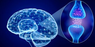 Estudio sugiere que el Covid aumenta el riesgo de desarrollar Parkinson