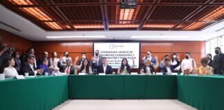 Analizarán reformas a la Ley Nacional sobre el Uso de la Fuerza