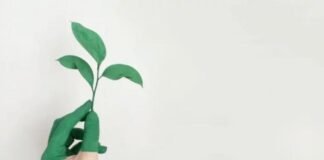 Encontrar perfiles relacionados con sostenibilidad y negocio: reto del siglo XXI