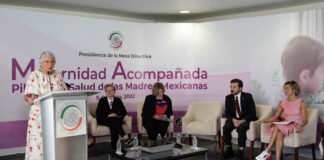 Urge mejorar atención para garantizar una maternidad plena: Sánchez Cordero