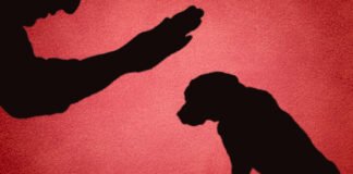 Presenta Biofutura agenda ambiental y de derecho de los animales a candidatos de Hidalgo