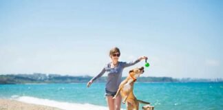 Ofrece Acapulco zonas Pet Friendly para que viajes con tus mascotas