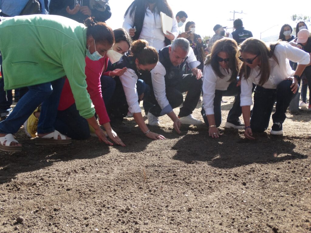 Comienza la segunda etapa del Huerto Urbano de Pachuca - Énfasis