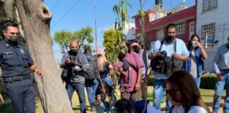 Huertos urbanos opción para paliar el hambre que se viene