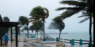 Dos muertos, deslaves, desbordamientos y árboles caídos, deja en Guerrero el huracán Blas