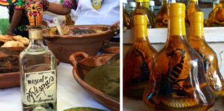 ¿Es malo comer el alacrán que viene dentro del mezcal?