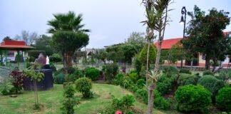 Tulancingo integrará este año nuevas áreas verdes a las 251 existentes