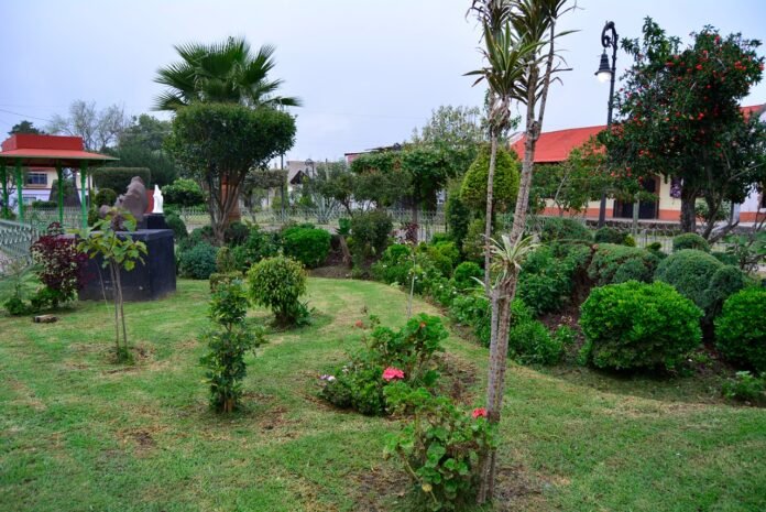 Parques y Jardines (3)