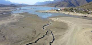 Agonizan presas de Nuevo León