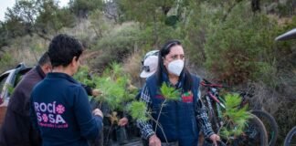 Inician reforestación en Apan