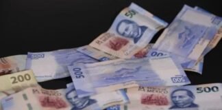 Créditos milagro: ¿Cómo evitar ser presa fácil de fraudes financieros?