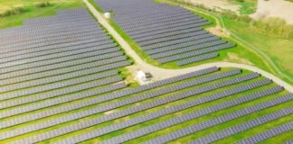 Objetivos de Desarrollo Sostenible: ¿Cuál es su importancia en las empresas?