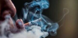 Tabaco afecta no solo a la salud; impacta al medio ambiente con escasez de recursos