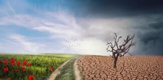 Mexicanos temen a la escasez de recursos en menos de 10 años