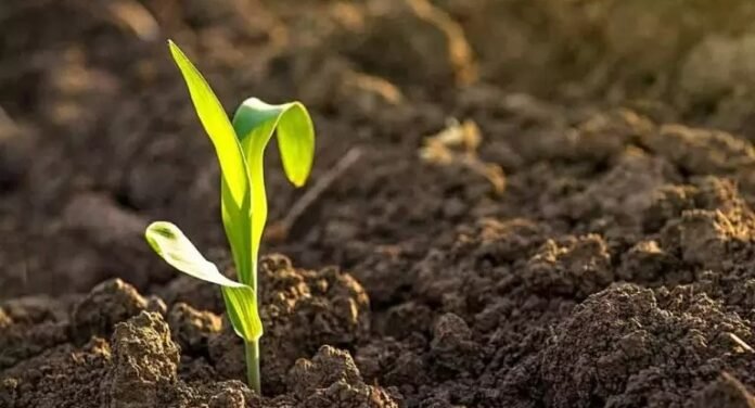 Secretaría de Agricultura