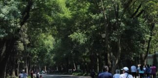 Vivir cerca de parques y áreas verdes aumenta la calidad de vida, aseguran estudios