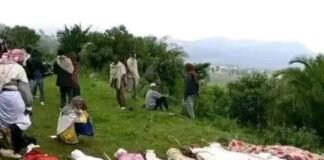 Masacre en Etiopía deja cientos de muertos