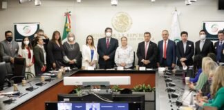 Contar con un Registro Nacional de Donación facilitará trasplantes de Órganos: Senado