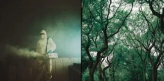 ¿Cómo afectaron los sanitizantes al medio ambiente y al ser humano tras pandemia?