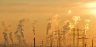 Partículas contaminantes del aire transitan al cerebro y causan daños neurológicos