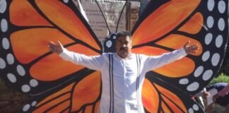 Netflix producirá serie sobre “El Guardián” de la mariposa monarca