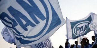 Anuncia Acción Nacional talleres virtuales para ser militantes