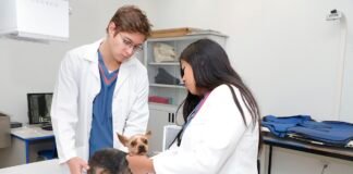 Abre UAEH servicios del Hospital Veterinario a toda la población