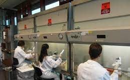 Llamado urgente para mejorar el uso de las vacunas existentes para prevenir infecciones bacterianas: OMS